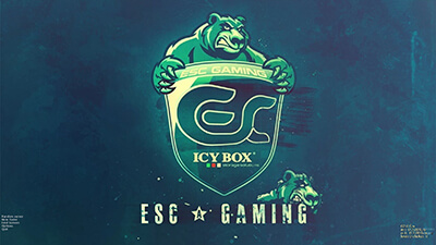 Download CS 1.6 ESC Gaming